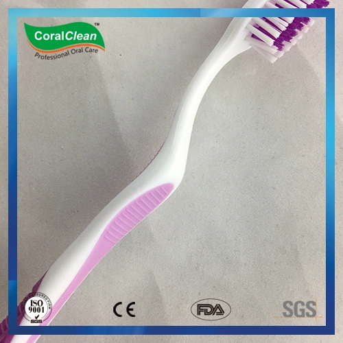 Oral Care Adults′ Colorized Toothbrush with Anti-Slip Handle